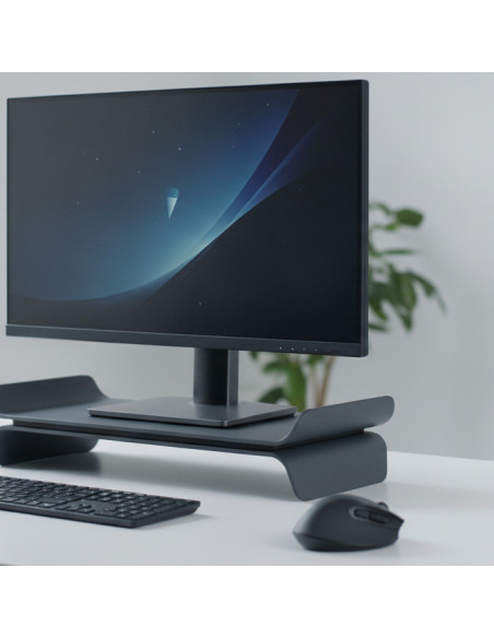 ▷ SOPORTE LEITZ PARA MONITOR AJUSTABLE ERGO, GRIS OSCURO | Taine - Imagen 2