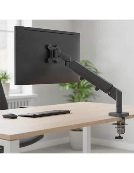 ▷ BRAZO LEITZ PARA UN MONITOR ERGO SPACESAVING, GRIS OSCURO | Taine - Imagen 2