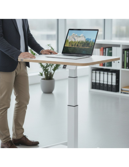 ▷ MESA ELEVABLE ELÉCTRICA PEQUEÑA LEITZ ERGO | Taine - Imagen 2