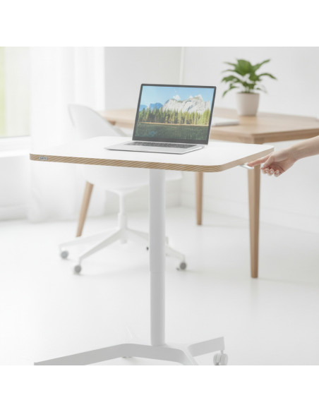 ▷ MESA ELEVABLE NEUMÁTICA PEQUEÑA LEITZ ERGO | Taine - Imagen 2