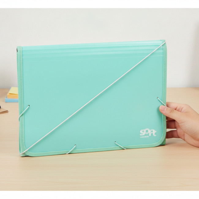 ▷ ACORDEON PP SOFT FOLIO 13 DPTOS RIBETE GOMA MENTA | Taine - Imagen 2