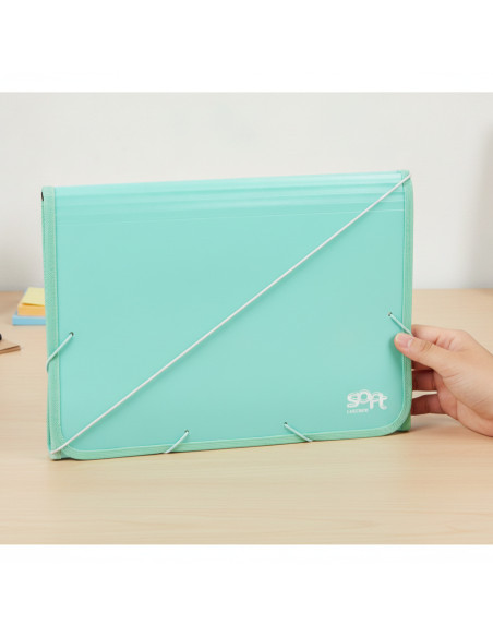 ▷ ACORDEON PP SOFT FOLIO 13 DPTOS RIBETE GOMA MENTA | Taine - Imagen 2