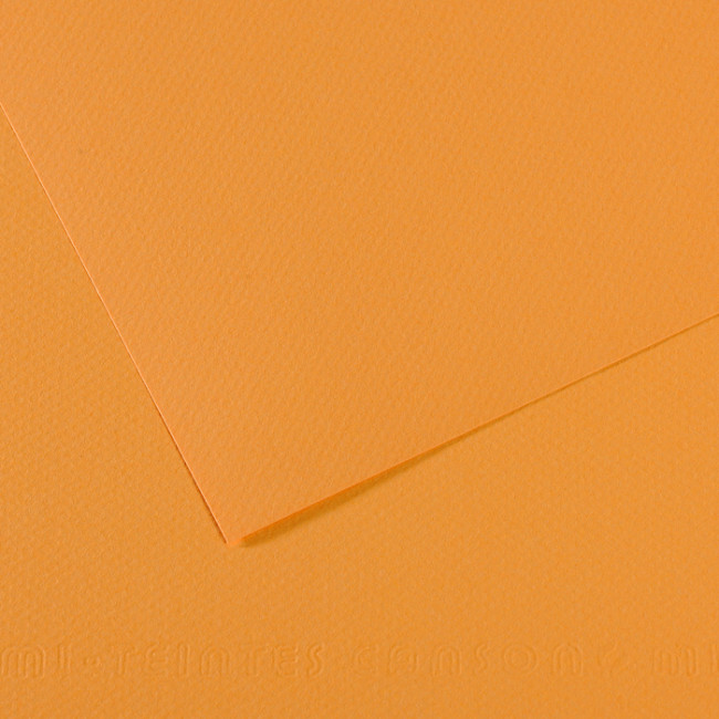 ▷ PAPEL MI-TEINTES CANSON UNIDAD PARA PASTEL | Taine - Imagen 6