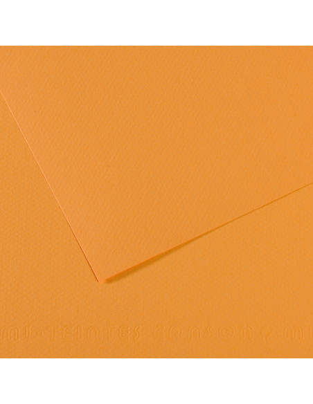 ▷ PAPEL MI-TEINTES CANSON UNIDAD PARA PASTEL | Taine - Imagen 6