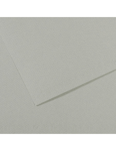 ▷ PAPEL MI-TEINTES CANSON UNIDAD PARA PASTEL | Taine - Imagen 8