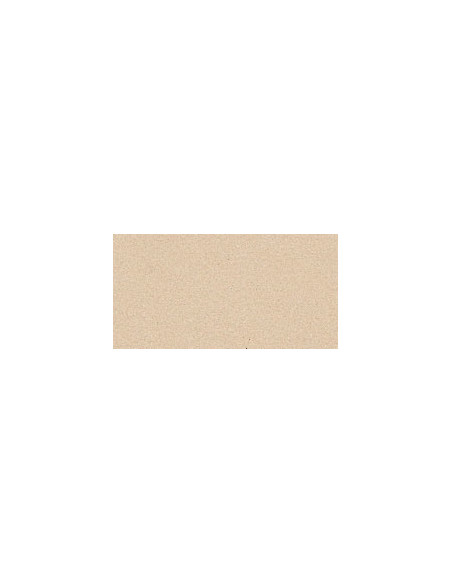 ▷ PAPEL MI-TEINTES CANSON UNIDAD PARA PASTEL | Taine - Imagen 10