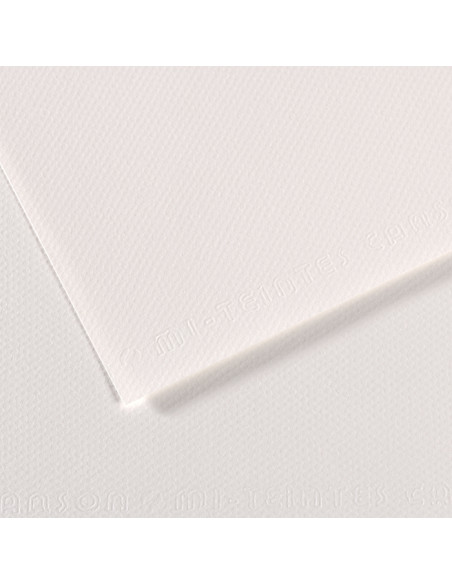 ▷ PAPEL MI-TEINTES CANSON UNIDAD PARA PASTEL | Taine - Imagen 11