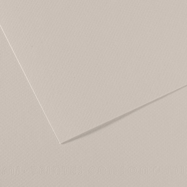 ▷ PAPEL MI-TEINTES CANSON UNIDAD PARA PASTEL | Taine - Imagen 12