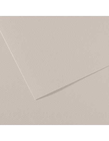 ▷ PAPEL MI-TEINTES CANSON UNIDAD PARA PASTEL | Taine - Imagen 12
