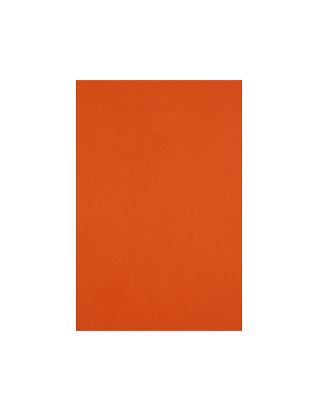 ▷ PAPEL MI-TEINTES CANSON UNIDAD PARA PASTEL | Taine - Imagen 16