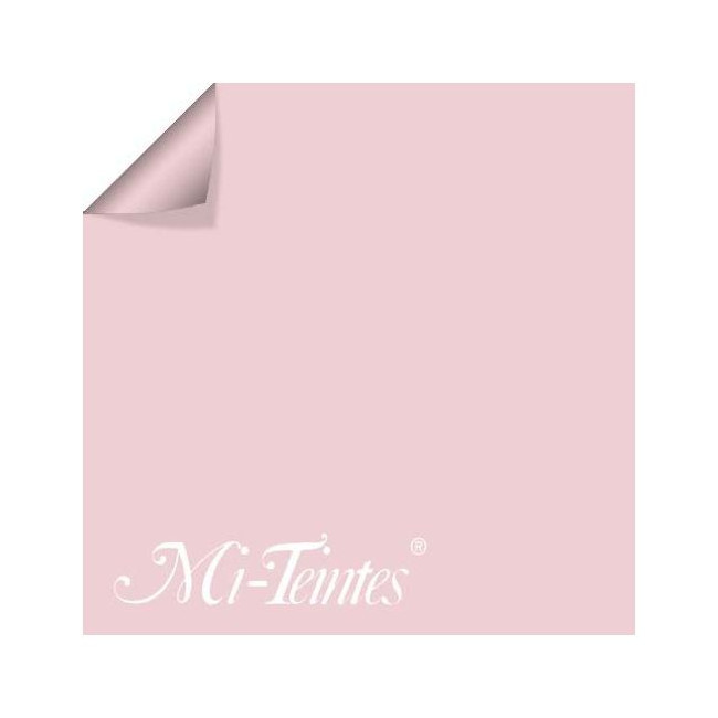 ▷ PAPEL MI-TEINTES CANSON UNIDAD PARA PASTEL | Taine - Imagen 17