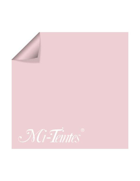 ▷ PAPEL MI-TEINTES CANSON UNIDAD PARA PASTEL | Taine - Imagen 17