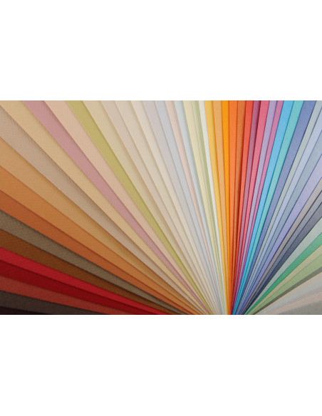 ▷ PAPEL MI-TEINTES CANSON UNIDAD PARA PASTEL | Taine - Imagen 19