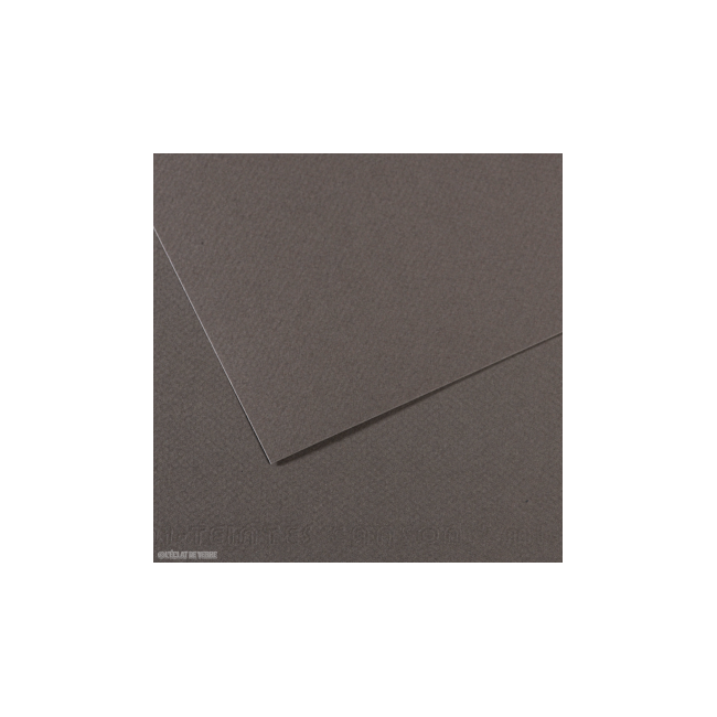 ▷ PAPEL MI-TEINTES CANSON UNIDAD PARA PASTEL | Taine - Imagen 20