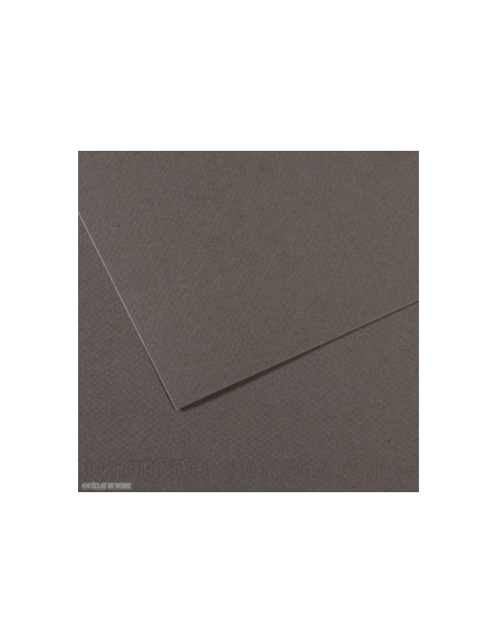 ▷ PAPEL MI-TEINTES CANSON UNIDAD PARA PASTEL | Taine - Imagen 20