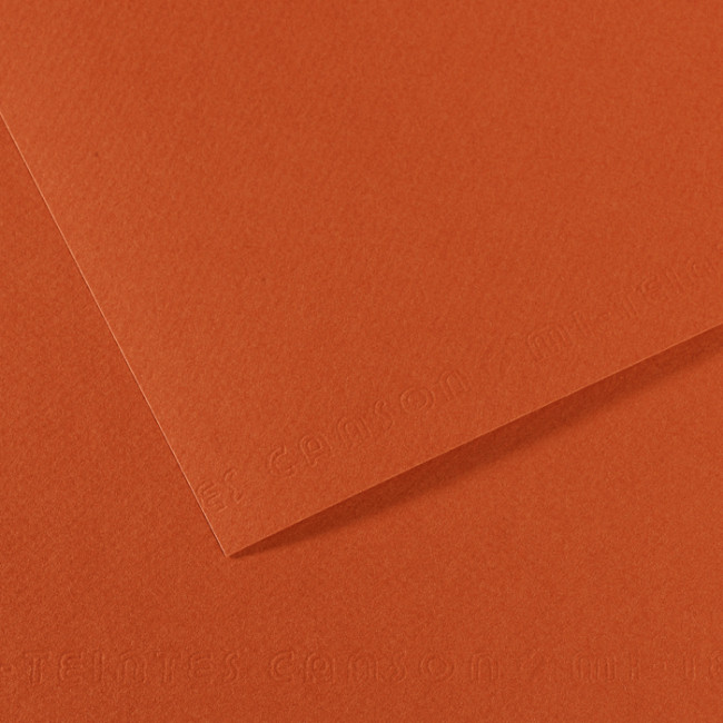 ▷ PAPEL MI-TEINTES CANSON UNIDAD PARA PASTEL | Taine - Imagen 21