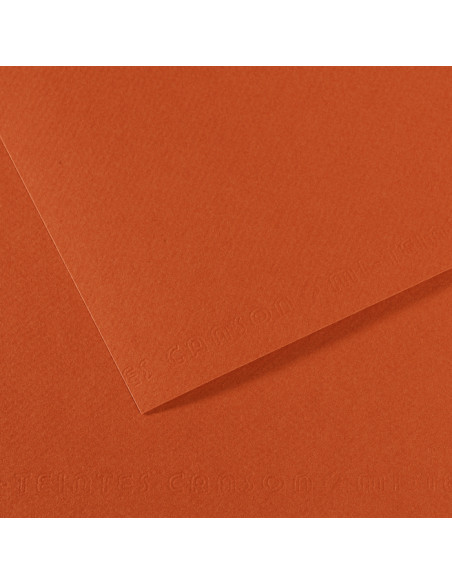 ▷ PAPEL MI-TEINTES CANSON UNIDAD PARA PASTEL | Taine - Imagen 21