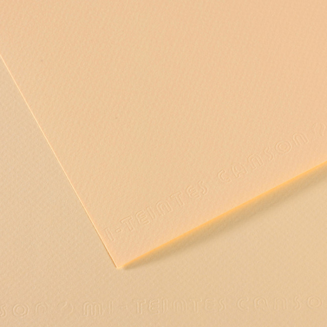 ▷ PAPEL MI-TEINTES CANSON UNIDAD PARA PASTEL | Taine - Imagen 23