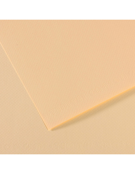 ▷ PAPEL MI-TEINTES CANSON UNIDAD PARA PASTEL | Taine - Imagen 23