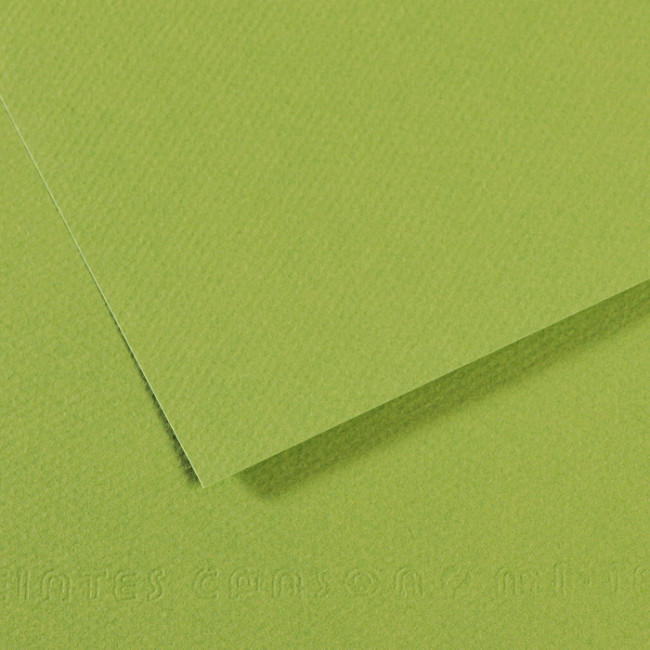 ▷ PAPEL MI-TEINTES CANSON UNIDAD PARA PASTEL | Taine - Imagen 24