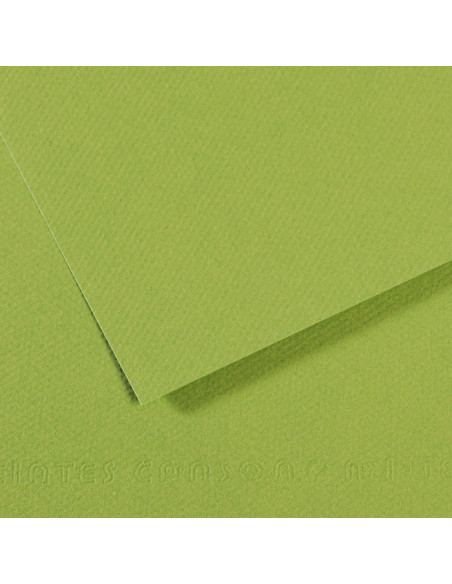 ▷ PAPEL MI-TEINTES CANSON UNIDAD PARA PASTEL | Taine - Imagen 24