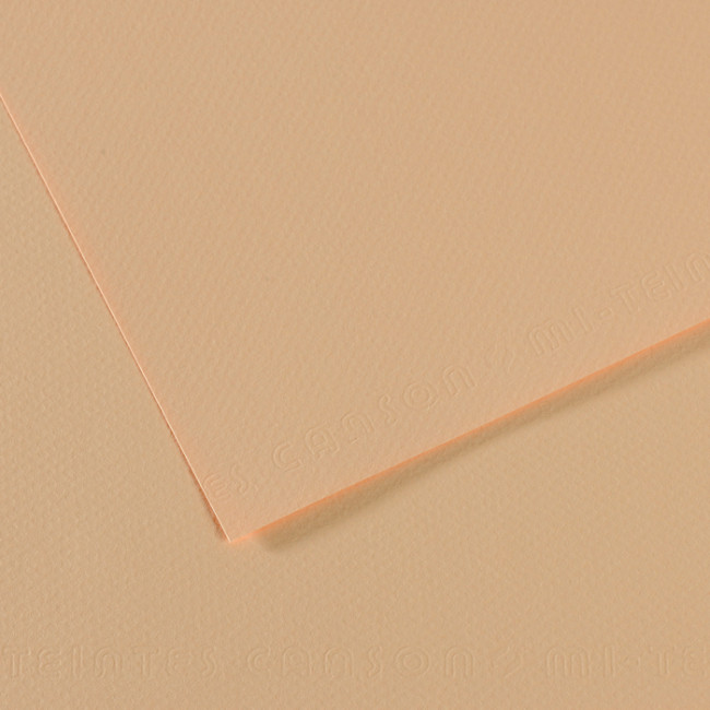 ▷ PAPEL MI-TEINTES CANSON UNIDAD PARA PASTEL | Taine - Imagen 25