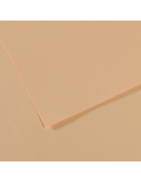 ▷ PAPEL MI-TEINTES CANSON UNIDAD PARA PASTEL | Taine - Imagen 25