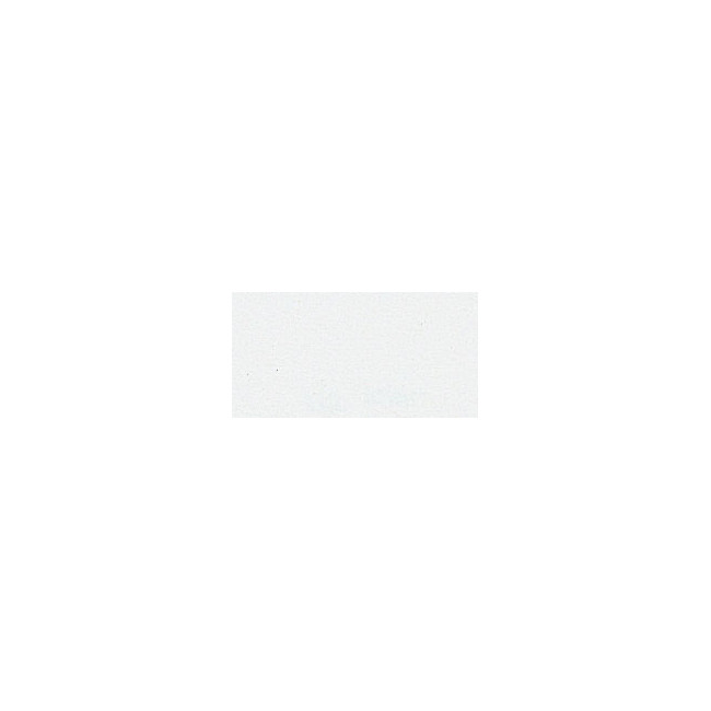 ▷ PAPEL MI-TEINTES CANSON UNIDAD PARA PASTEL | Taine - Imagen 26