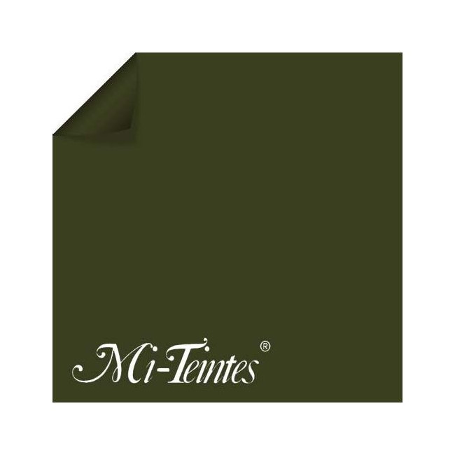 ▷ PAPEL MI-TEINTES CANSON UNIDAD PARA PASTEL | Taine - Imagen 27