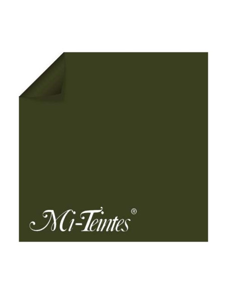 ▷ PAPEL MI-TEINTES CANSON UNIDAD PARA PASTEL | Taine - Imagen 27
