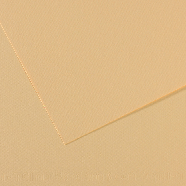 ▷ PAPEL MI-TEINTES CANSON UNIDAD PARA PASTEL | Taine - Imagen 29
