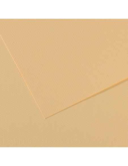 ▷ PAPEL MI-TEINTES CANSON UNIDAD PARA PASTEL | Taine - Imagen 29