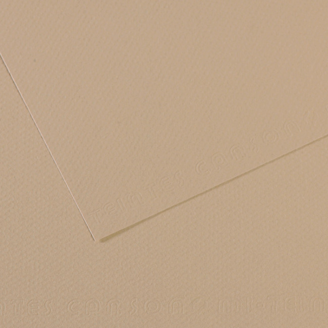 ▷ PAPEL MI-TEINTES CANSON UNIDAD PARA PASTEL | Taine - Imagen 30