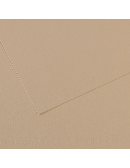 ▷ PAPEL MI-TEINTES CANSON UNIDAD PARA PASTEL | Taine - Imagen 30