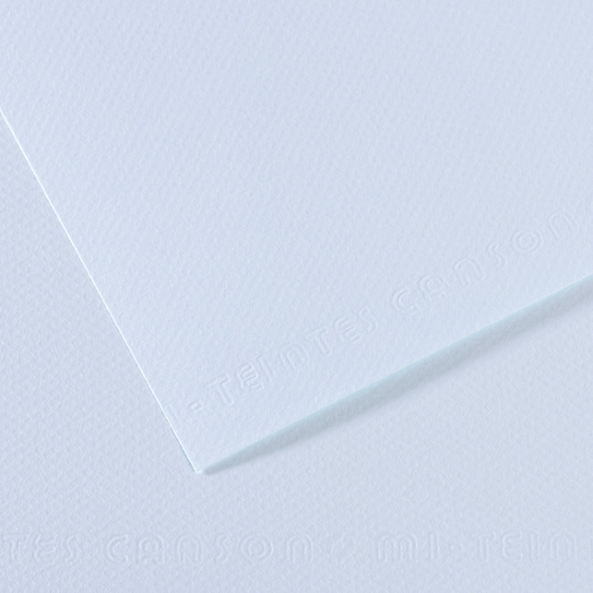 ▷ PAPEL MI-TEINTES CANSON UNIDAD PARA PASTEL | Taine - Imagen 35