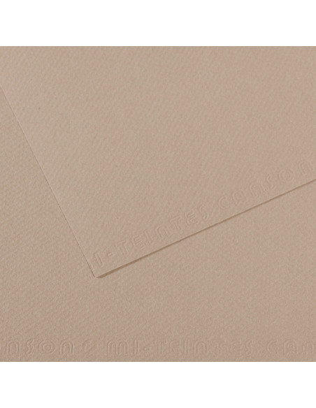 ▷ PAPEL MI-TEINTES CANSON UNIDAD PARA PASTEL | Taine - Imagen 37