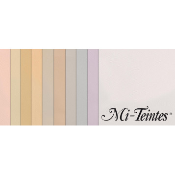 ▷ PACK 10 HJ MITEINTES SURTIDOS COLOR 160GRS CANSON | Taine - Imagen 1