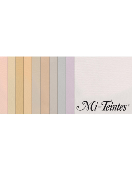 ▷ PACK 10 HJ MITEINTES SURTIDOS COLOR 160GRS CANSON | Taine - Imagen 1