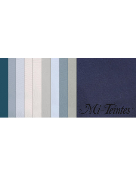 ▷ PACK 10 HJ MITEINTES SURTIDOS COLOR 160GRS CANSON | Taine - Imagen 1