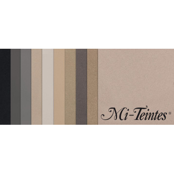▷ PACK 10 HJ MITEINTES SURTIDOS COLOR 160GRS CANSON | Taine - Imagen 1