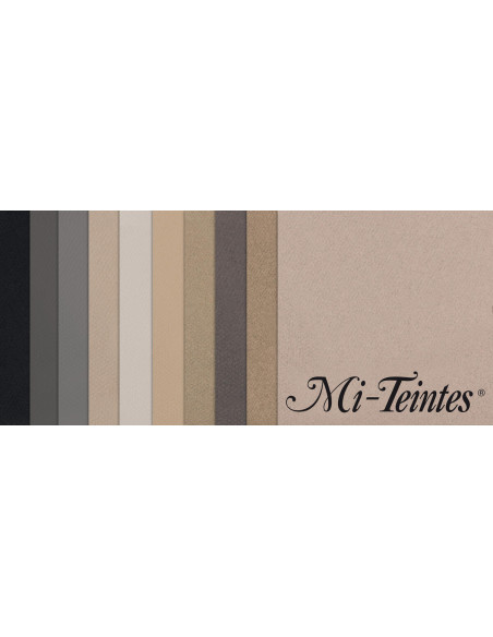 ▷ PACK 10 HJ MITEINTES SURTIDOS COLOR 160GRS CANSON | Taine - Imagen 1