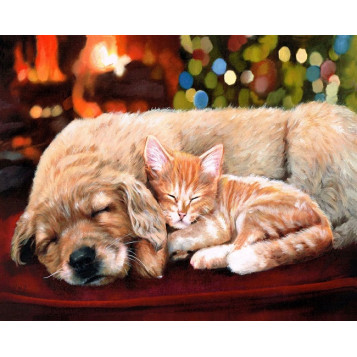 ▷ PINTAR POR NÚMEROS FA10040Y 40X50CM FIGURA "GATO Y PERRO DURMIENDO" | Taine - Imagen 1