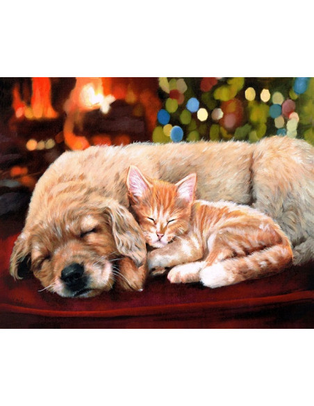 ▷ PINTAR POR NÚMEROS FA10040Y 40X50CM FIGURA "GATO Y PERRO DURMIENDO" | Taine - Imagen 1